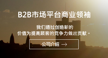 公司介绍